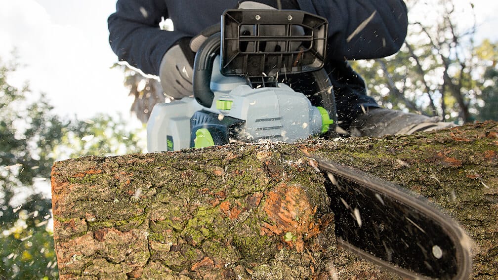 Chainsaws EGO Power Plus